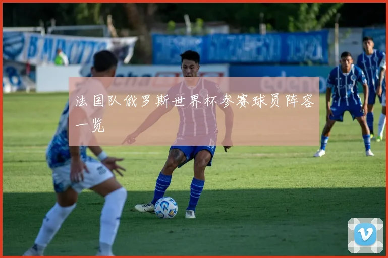 法国队俄罗斯世界杯参赛球员阵容一览