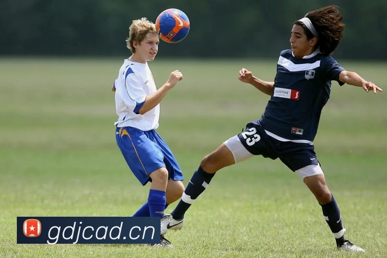 多媒体互动体验